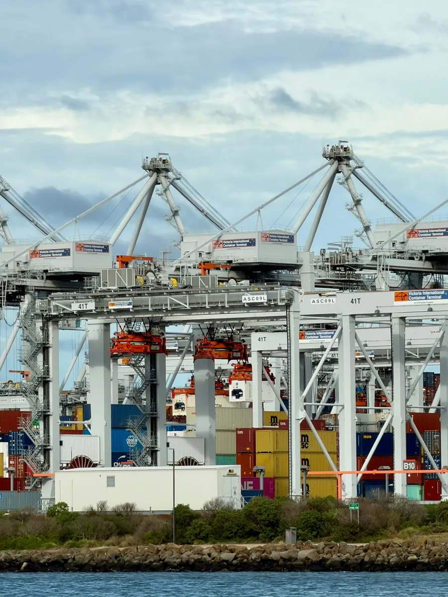 Quay cranes working at a container terminal