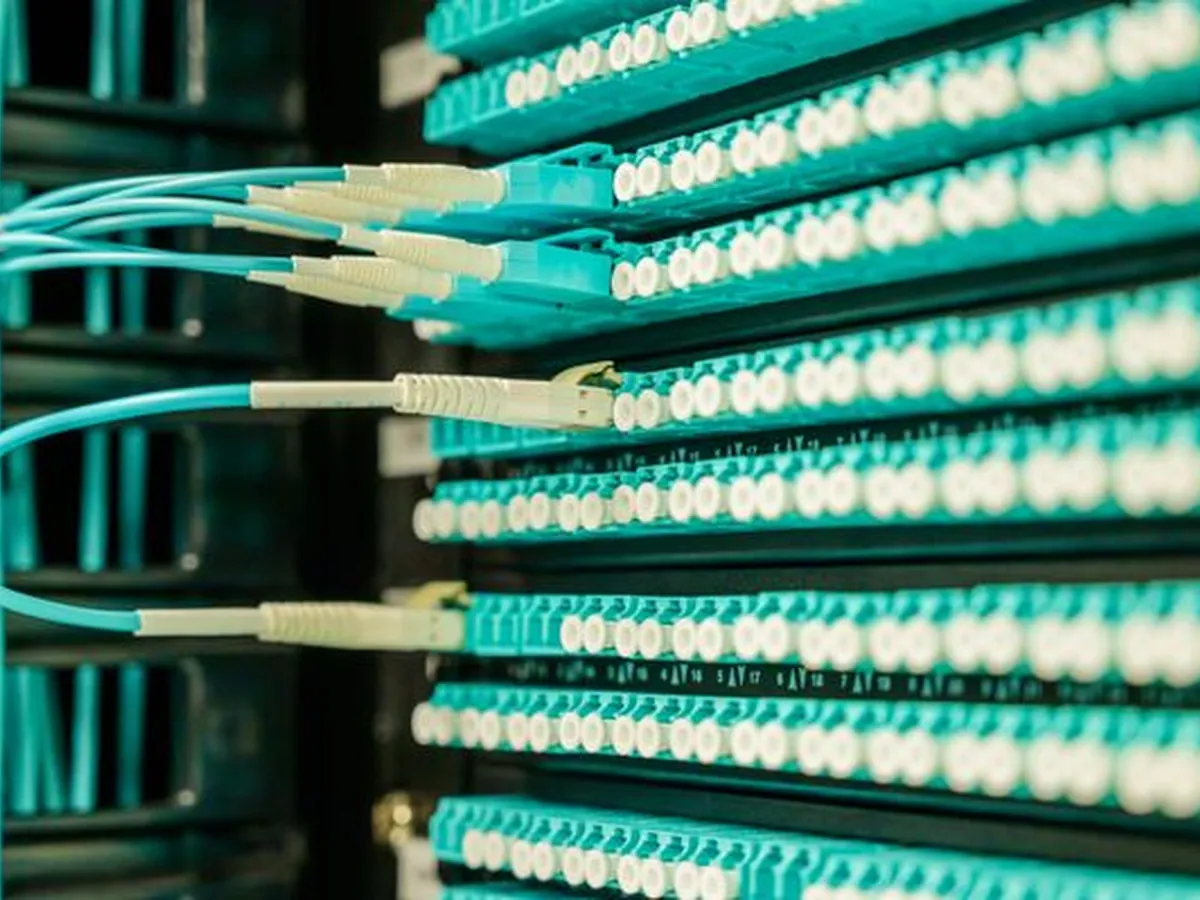 Teal fibre-optic cabling patched into a network switch