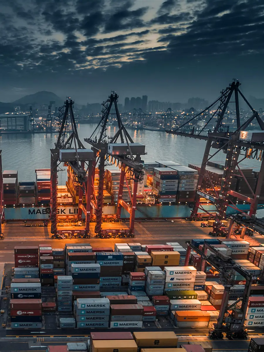Container cranes working a port terminal at dawn
