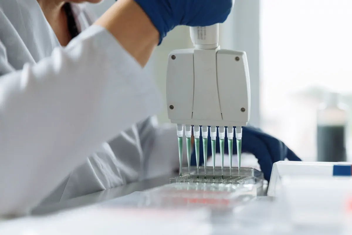 A scientist using a multichannel pipette in a laboratory